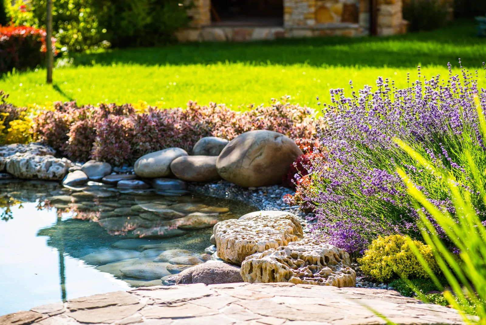 Landscaped pond with natural stone edging, flowering plants and lawn; illustrative photograph
